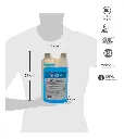 6.webp